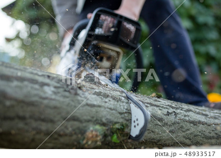 Photo of man with chainsaw sawing log in forest Photo of man with chainsaw sawing log in forest 48933517
