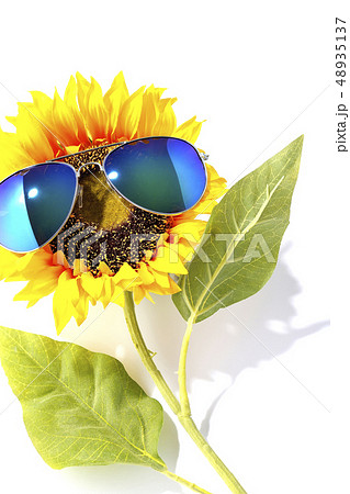 パリピなひまわり 48935137