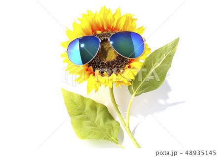 パリピなひまわりの写真素材