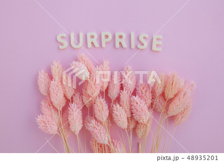 Beautiful pink dried flowers on a pink Beautiful pink dried flowers on a pink 48935201
