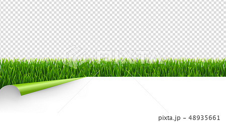 Green Grass With Green Corner Transparent Green Grass With Green Corner Transparent 48935661