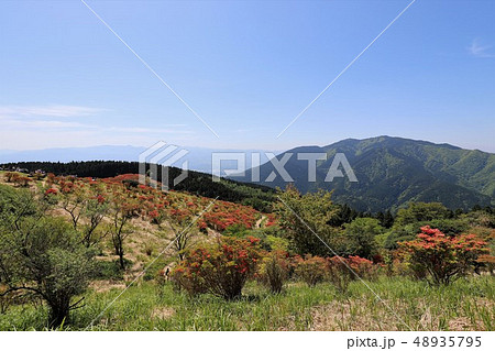 新緑の葛城山 新緑の葛城山 48935795