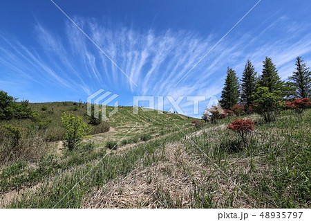 新緑の葛城山 新緑の葛城山 48935797