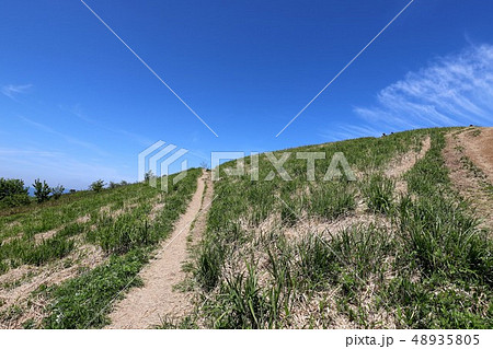 新緑の葛城山 新緑の葛城山 48935805