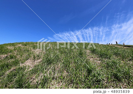 新緑の葛城山 48935839