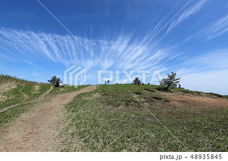 新緑の葛城山 新緑の葛城山 48935845
