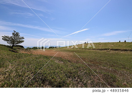 新緑の葛城山 新緑の葛城山 48935846