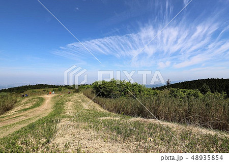 新緑の葛城山 新緑の葛城山 48935854