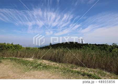 新緑の葛城山 48935856