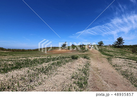 新緑の葛城山 48935857