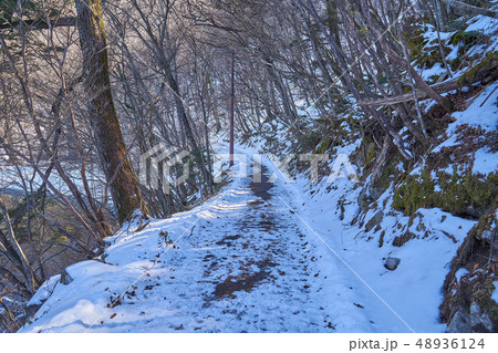 日光中禅寺湖南岸(狸窪)の残雪ある歩道の風景 48936124