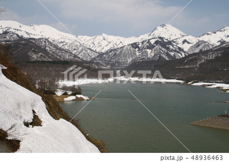 笹ヶ峰高原　残雪の早春　乙見湖越しの火打山、焼山 48936463