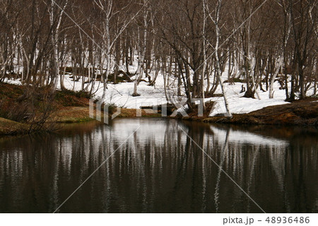 笹ヶ峰高原　清水ヶ池　残雪の早春 48936486