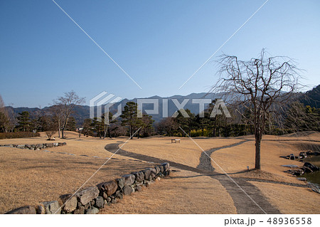 楽山園　日本庭園　群馬県甘楽町　 48936558