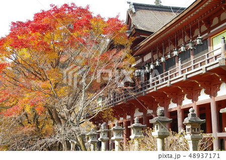 談山神社　拝殿　紅葉 48937171