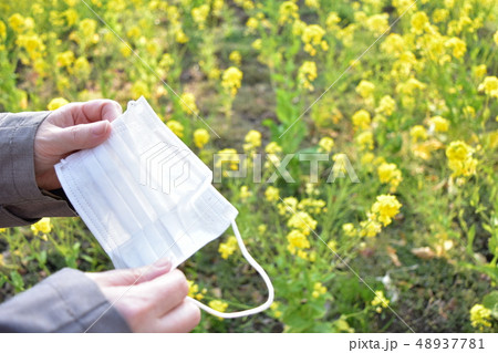 花粉症のマスクと菜の花 春の写真素材