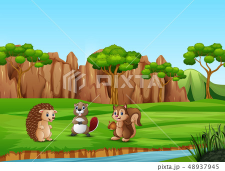Cartoon happy animals on the field Cartoon happy animals on the field 48937945
