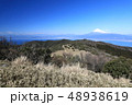 伊豆達磨山から見た富士山 48938619