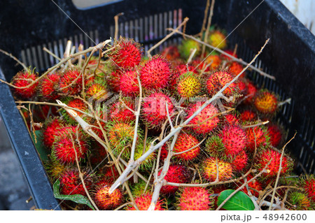 ペナン ジョージタウン 屋台のランブータン Rambutan 48942600