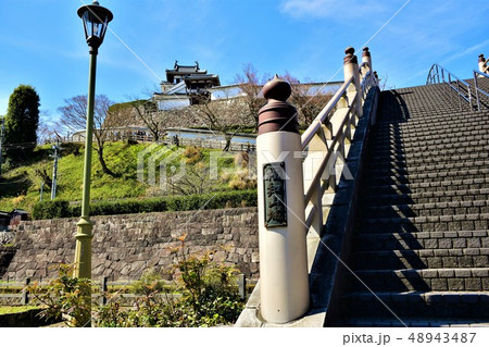 春の福知山城 天守閣と石垣 春の福知山城 天守閣と石垣 48943487