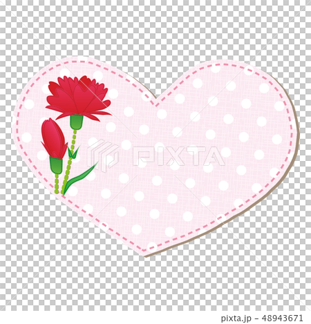 母の日 素材 ワッペン アップリケ カーネーション 48943671