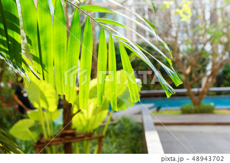 Luxury apartment building Thailand with swim pool 48943702
