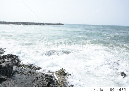 日本海 48944686