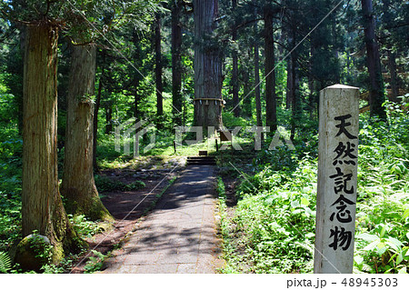 国宝 羽黒山五重塔周辺の風景 国宝 羽黒山五重塔周辺の風景 48945303