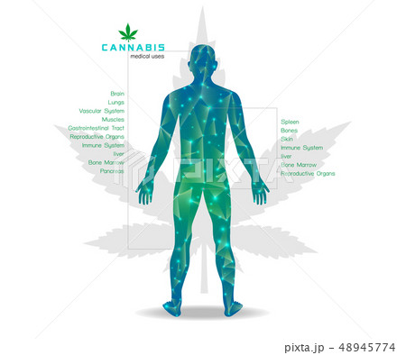 Marijuana plant and cannabis on green backgrounds. 48945774