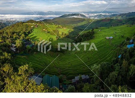 fields in the countryside of Chiang Mai Northern 48948832