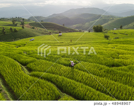 fields in the countryside of Chiang Mai Northern 48948907