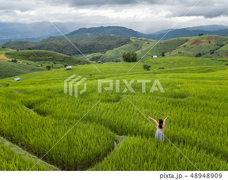 fields in the countryside of Chiang Mai Northern 48948909