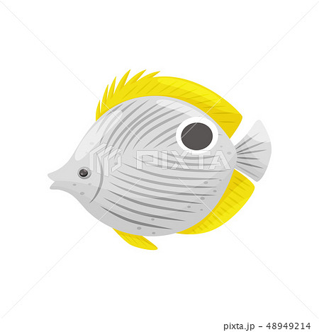 Exotic fish on white background. Water life. Exotic fish on white background. Water life. 48949214