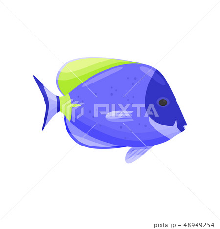 Blue fish on white background. Water life. Blue fish on white background. Water life. 48949254