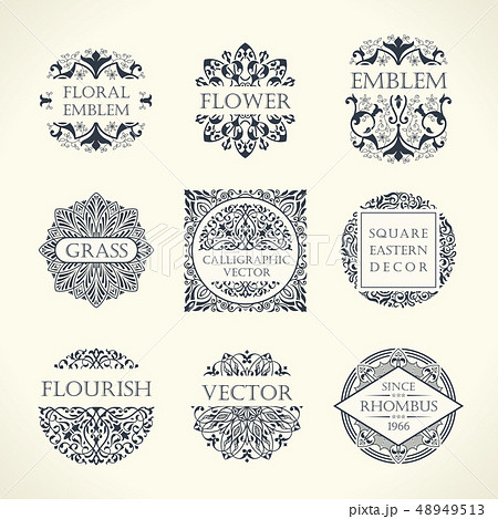 Calligraphic Luxury Line Logo Flourishes のイラスト素材