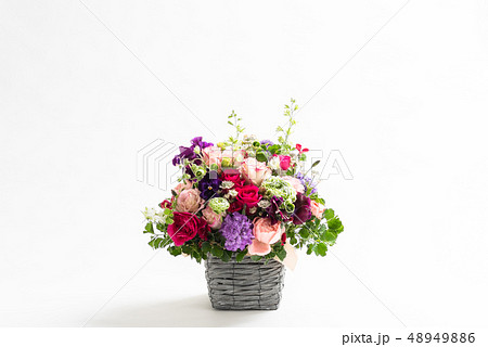 上にコピースペースのある花　横位置 48949886