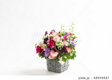 上に余白のある花　横位置 48949887