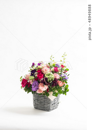 上に余白のある花　縦位置 48949888