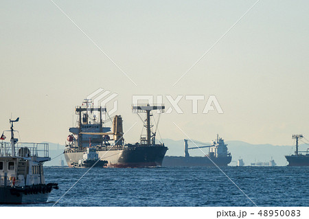 タグボートと大型貨物船 48950083