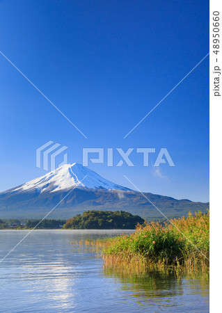朝モヤかかる河口湖と富士山 48950660