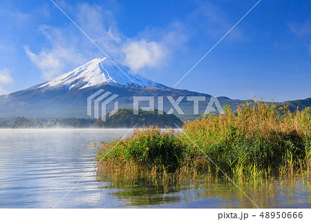 朝モヤかかる河口湖と富士山 48950666