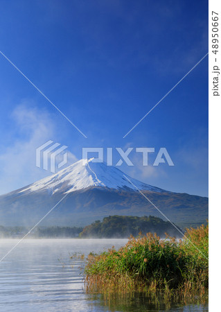 朝モヤかかる河口湖と富士山 48950667