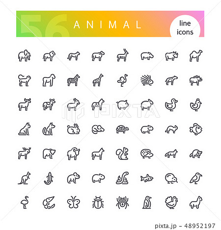 Animal Line Icons Set Animal Line Icons Set 48952197