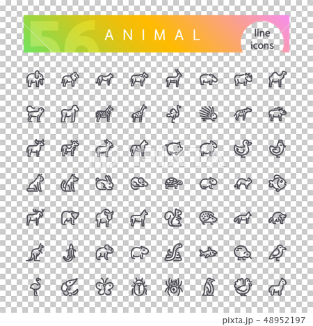 Animal Line Icons Set Animal Line Icons Set 48952197