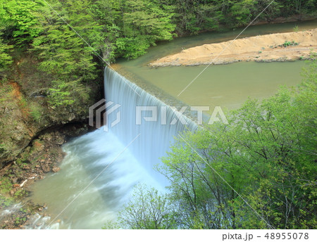 新緑の八幡平 48955078