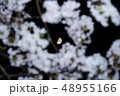 月と桜 48955166