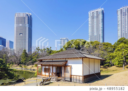 日本家屋と高層ビル群 48955182