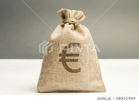 Money bag with a euro sign. Family or company Money bag with a euro sign. Family or company 48955994
