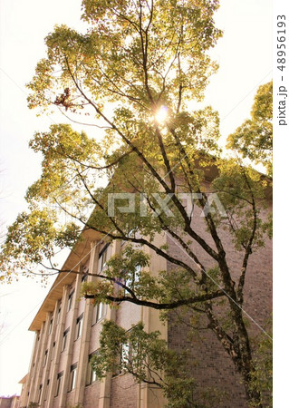 立命館大学 立命館大学 48956193