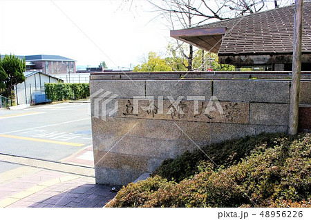 立命館大学 48956226